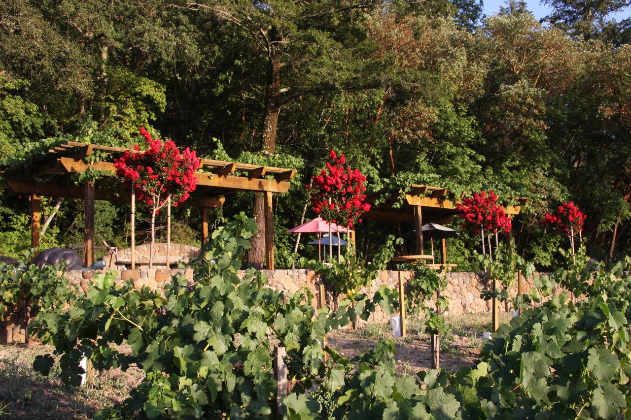 Paoletti Estates Winery